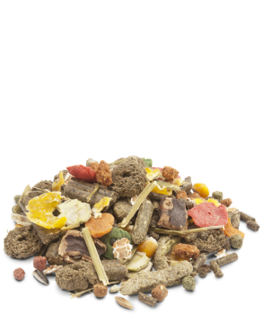 10kg Kaninchen Rabbit Müsli MUESLI - RABBITS Leckere, faserreiche Qualitätsmischung für (Zwerg) Kaninchen Versele Laga